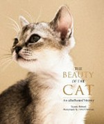 The beauty of the cat 