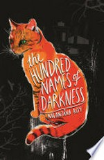 The hundred names of darkness: Nilanjana Roy.