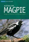 The Australian magpie 