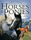 Horses & ponies 