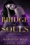 Bridge of souls
