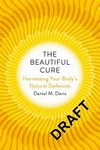 The beautiful cure 